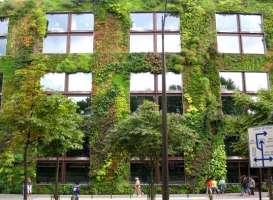 Patrick Blanc - Musee du Quai Branly